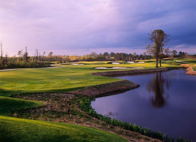Golf Course Landscape